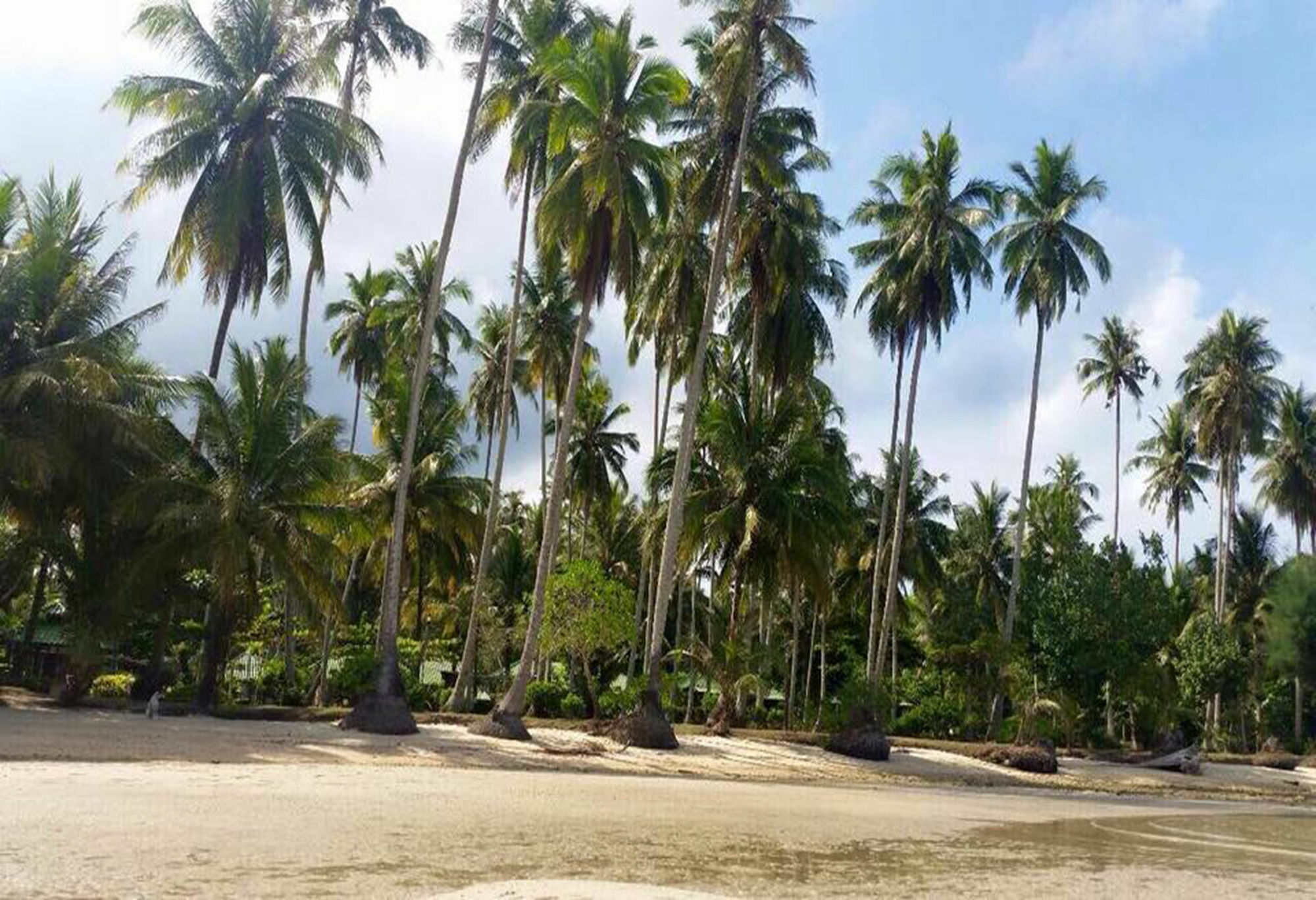 Dusita Koh Kood Resort Ko Kut Bagian luar foto