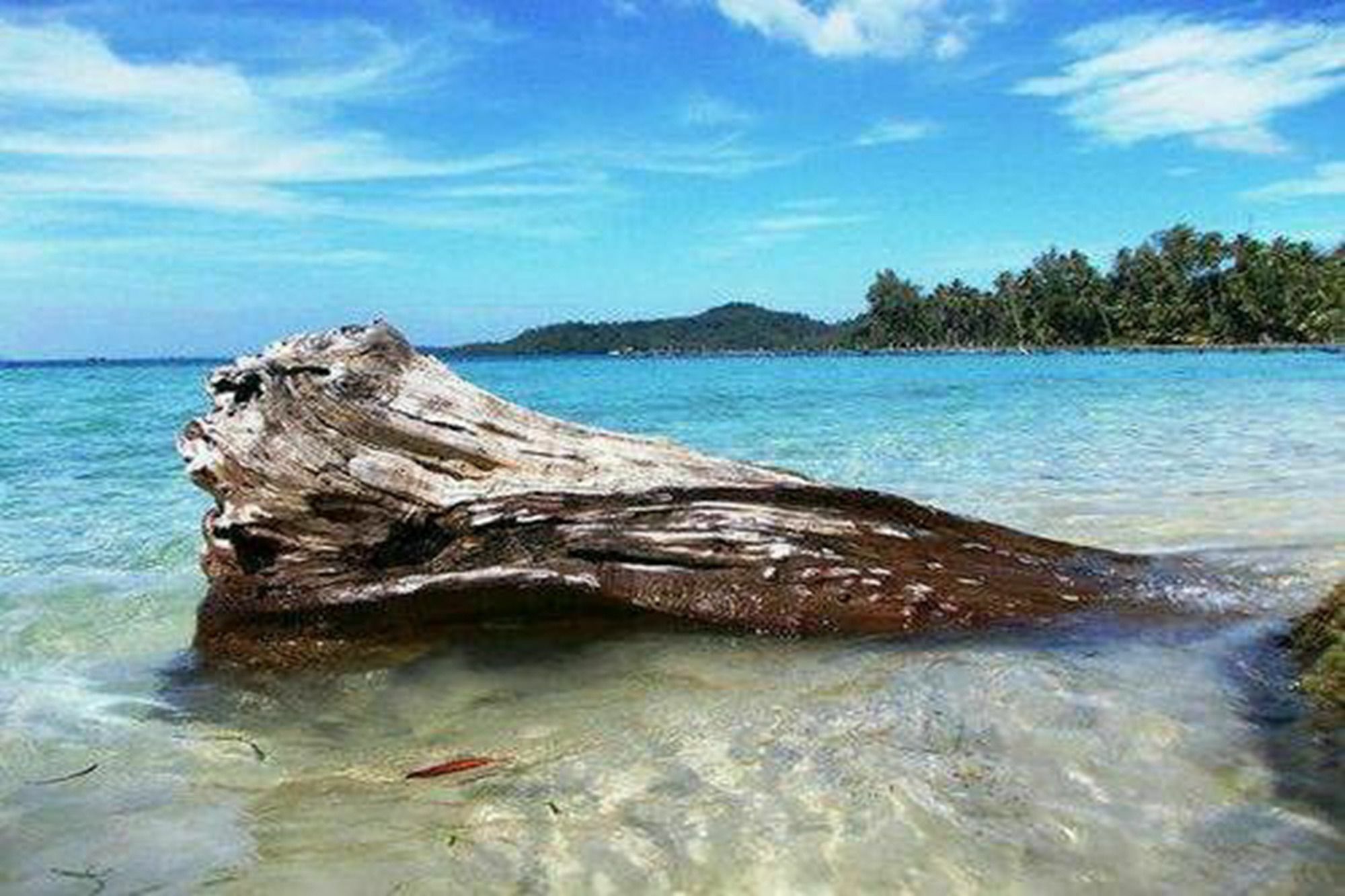 Dusita Koh Kood Resort Ko Kut Bagian luar foto
